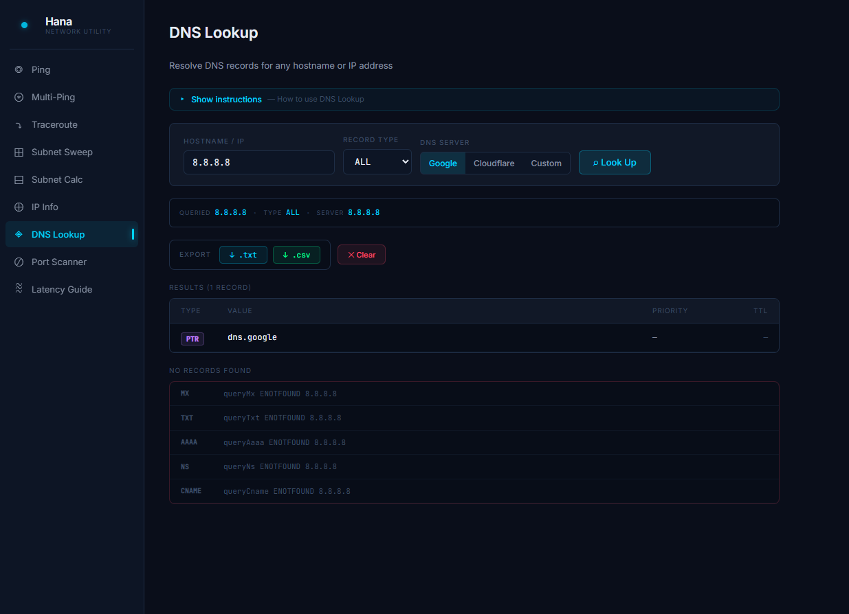 DNS Lookup results